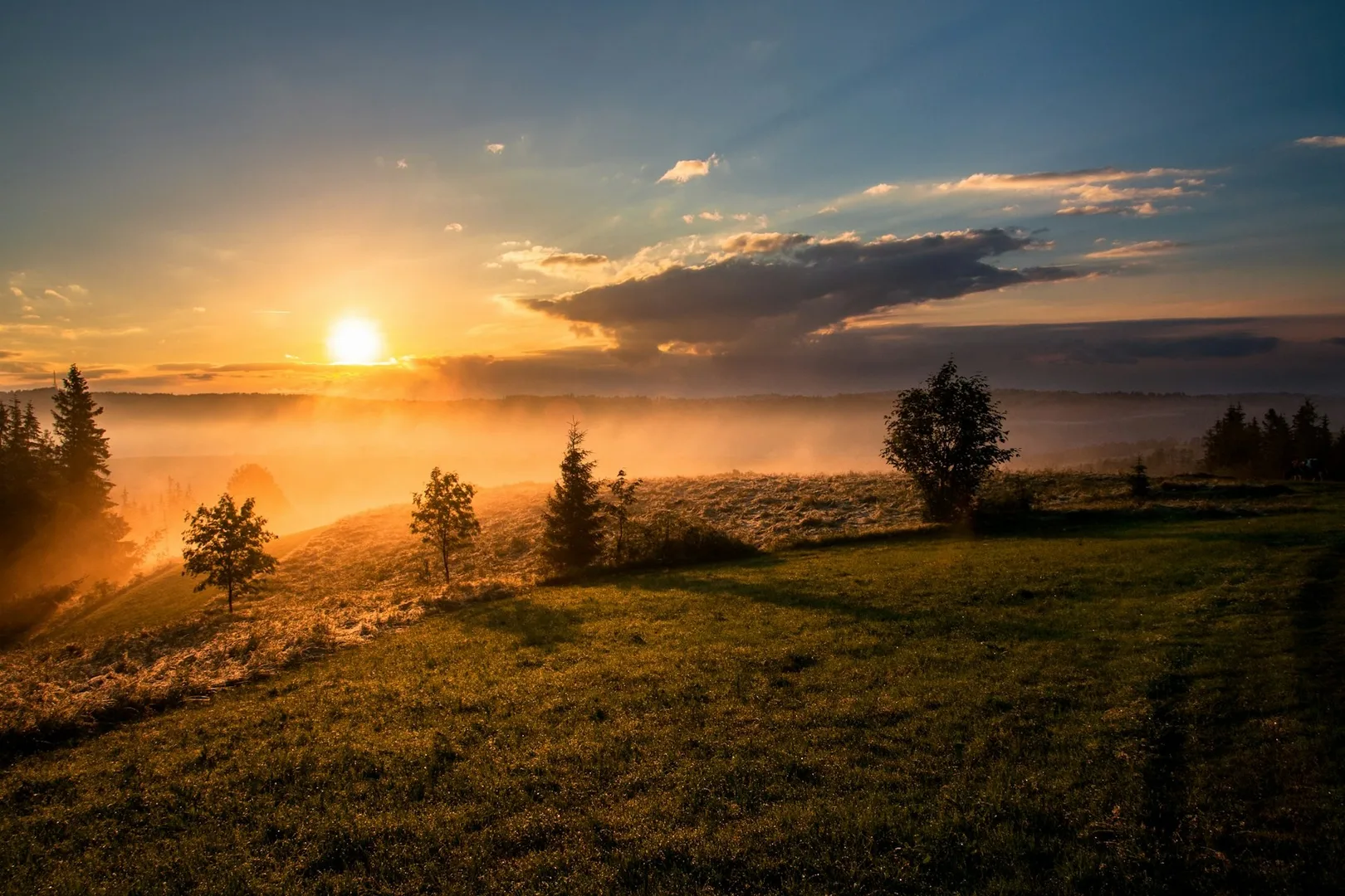 The sun rising over an open field with low mist.