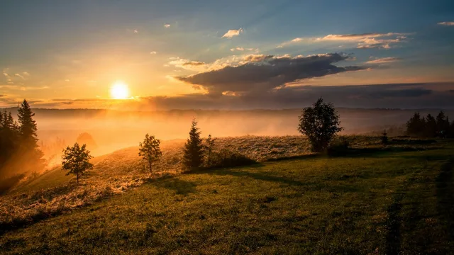 The sun rising over an open field with low mist.